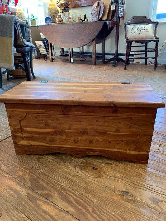 Small Cedar Trunk