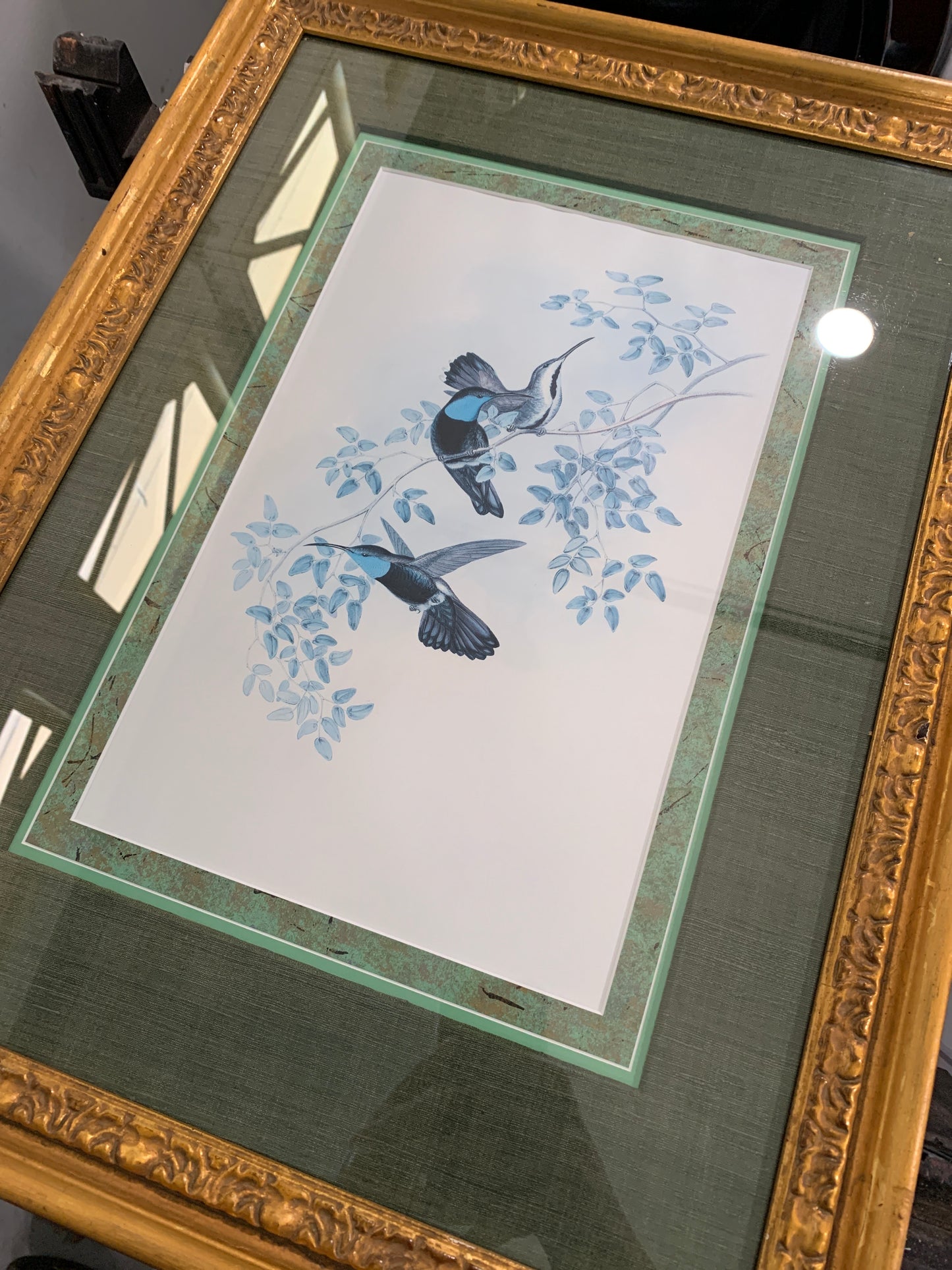 Hummingbird Print (1), Gould