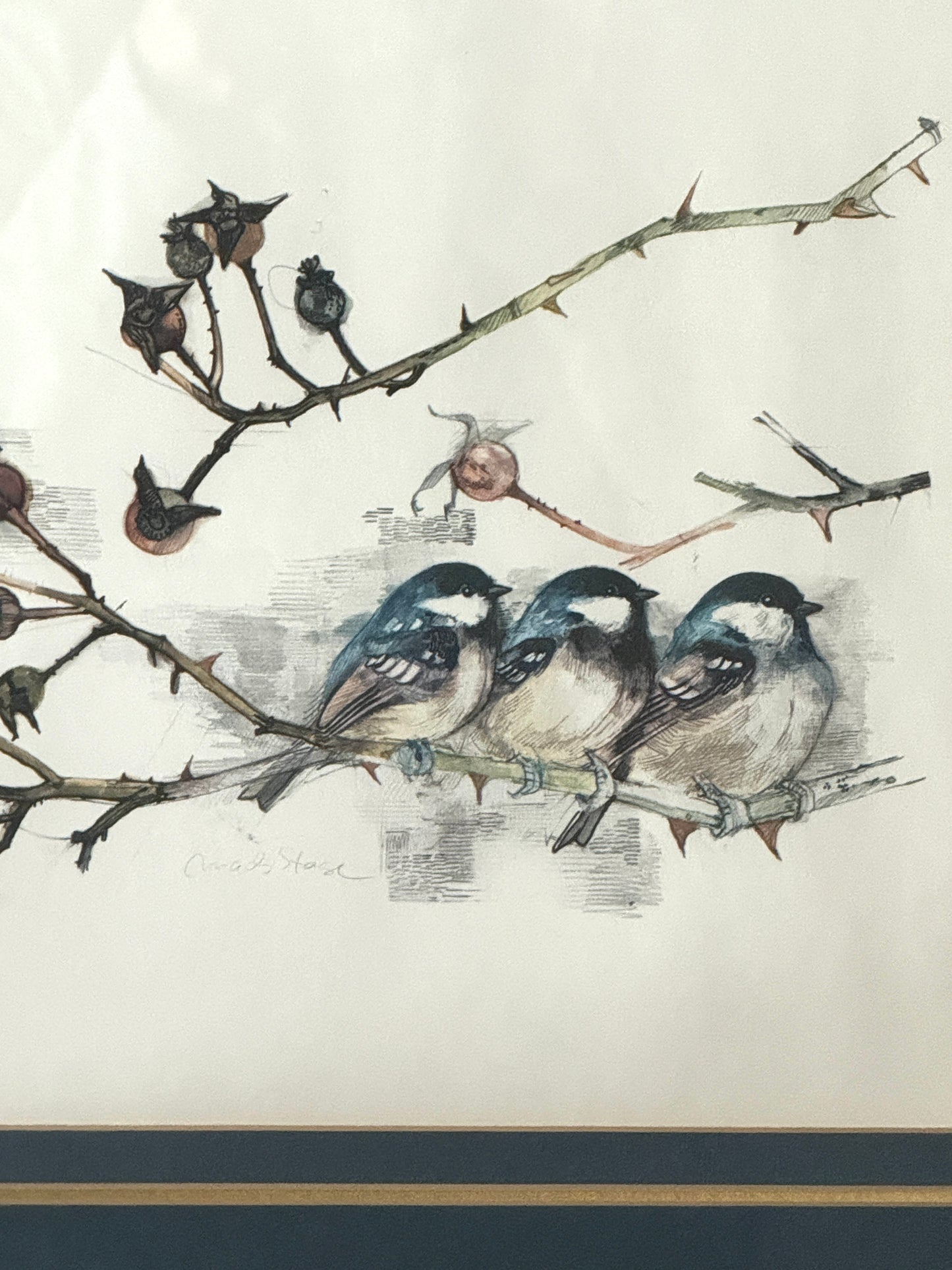 Chickadees Print