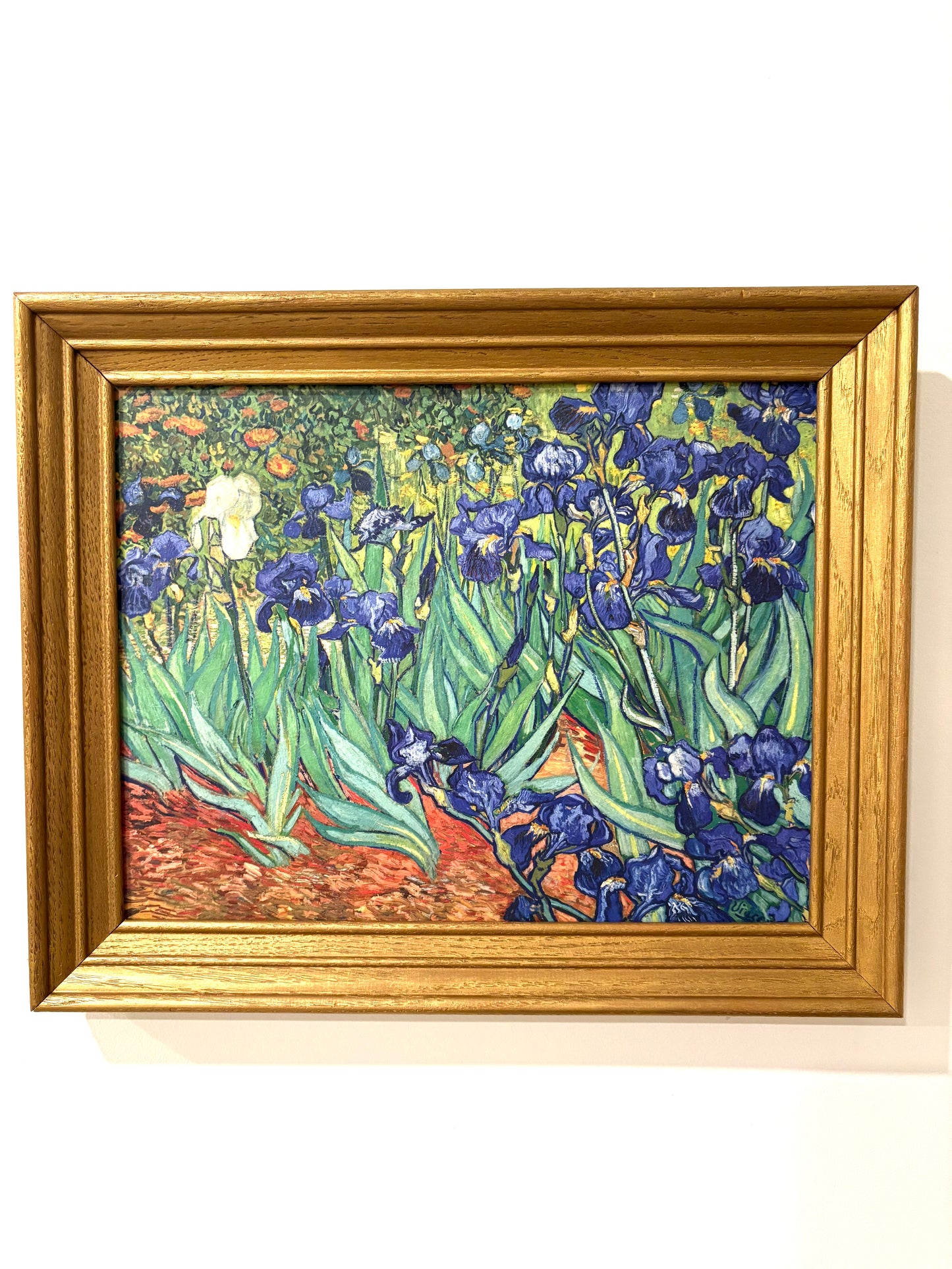 Van Gogh Irises