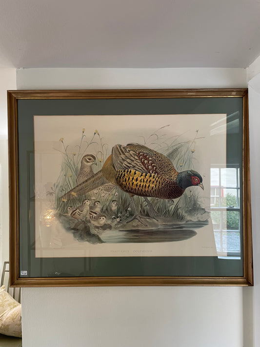 Pheasant Art