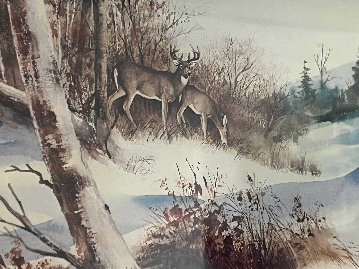 Deer Print, Framed