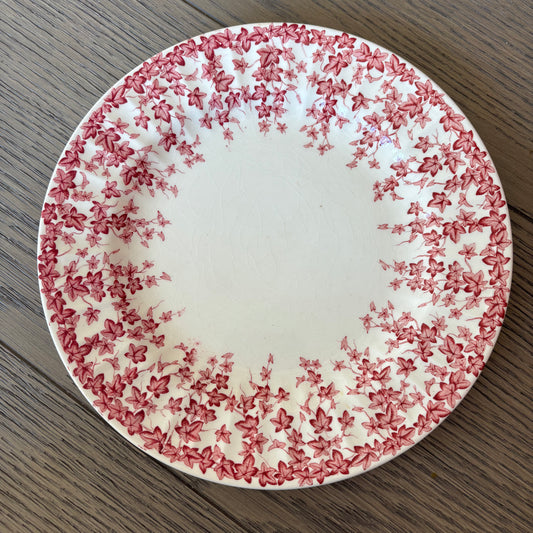 Early English Ivy Plate