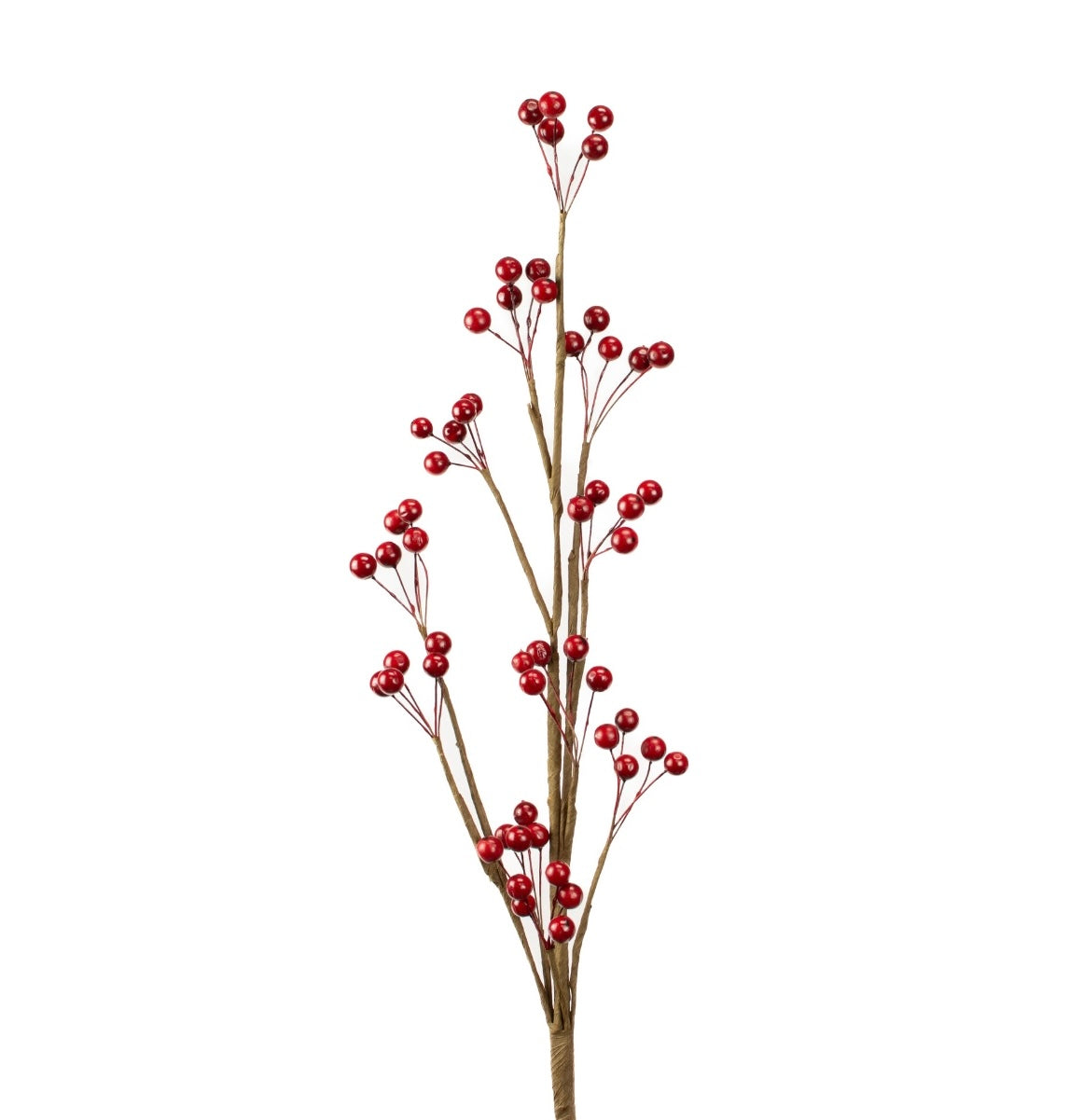 Red Berry Stem