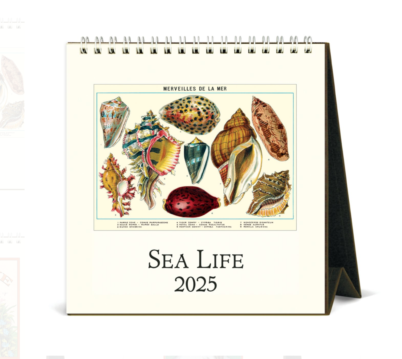 Cavallini & Co. Desk Calendars, 2025 - Several Styles!