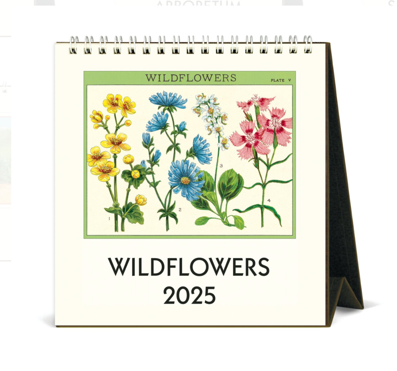 Cavallini & Co. Desk Calendars, 2025 - Several Styles!