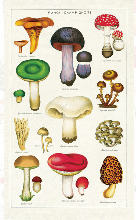 Cavallini & Co. Champignons Tea Towels