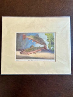 Vintage Book Plate, Trout